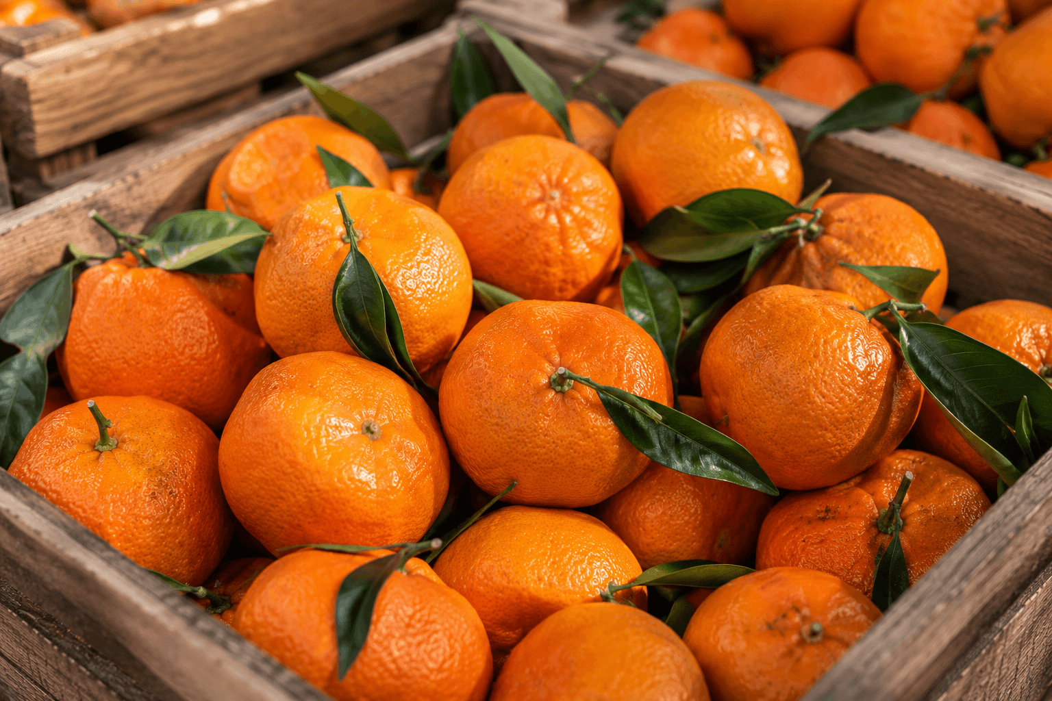 Mandarin